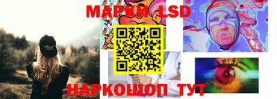 индика Обнинск