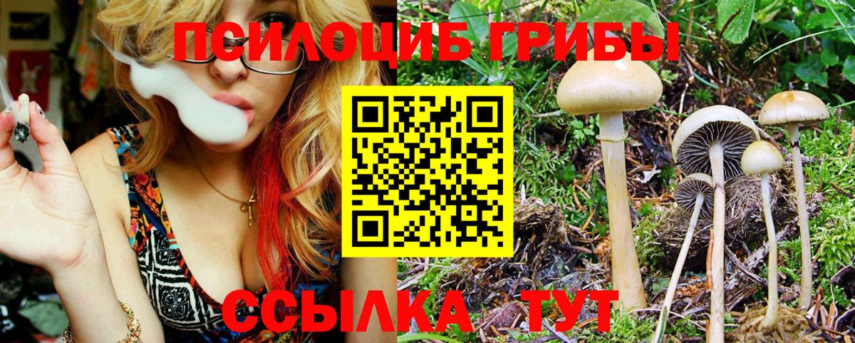 что такое   Галлюциногенные грибы Cubensis  Вход с VPN  Юрга 