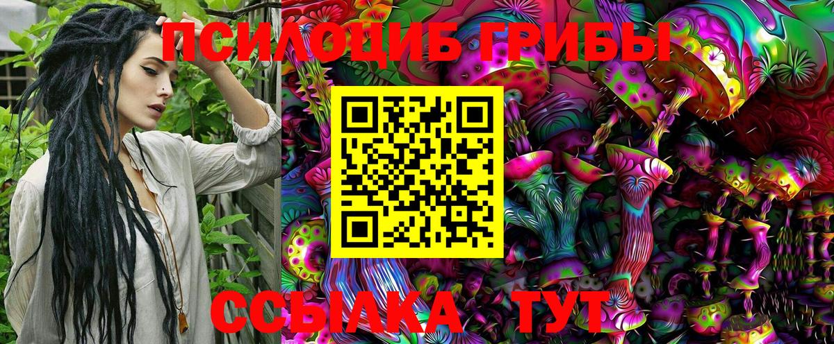 Галлюциногенные грибы Magic Shrooms Юрга